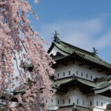 Hirosaki Park: Cherry Blossoms and Castle Views