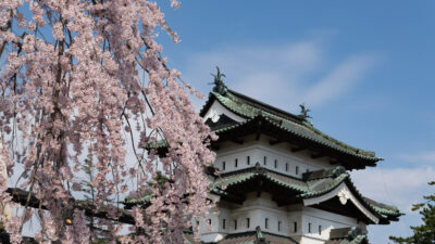 Hirosaki Park: Cherry Blossoms and Castle Views