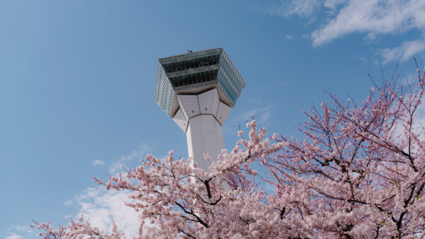 Goryokaku Hakodate: A Must-See Historical Landmark and Scenic View