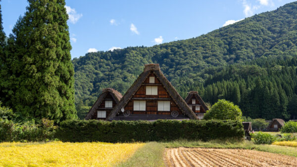 Shirakawa-go – A Timeless Village in the Mountains of Japan